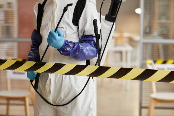 Professional Hoarding Cleanup technician working in Larkspur, CA